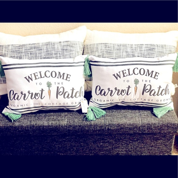 2 Target Bullseye “Welcome to the Carrot Patch” Pillows - Picture 3 of 6
